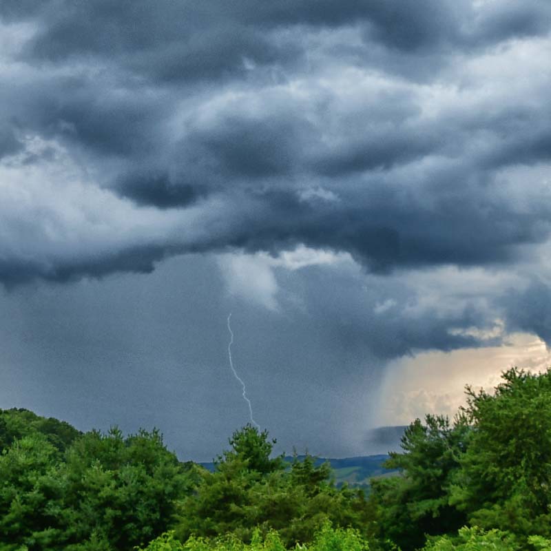 Storm Clouds over a forest