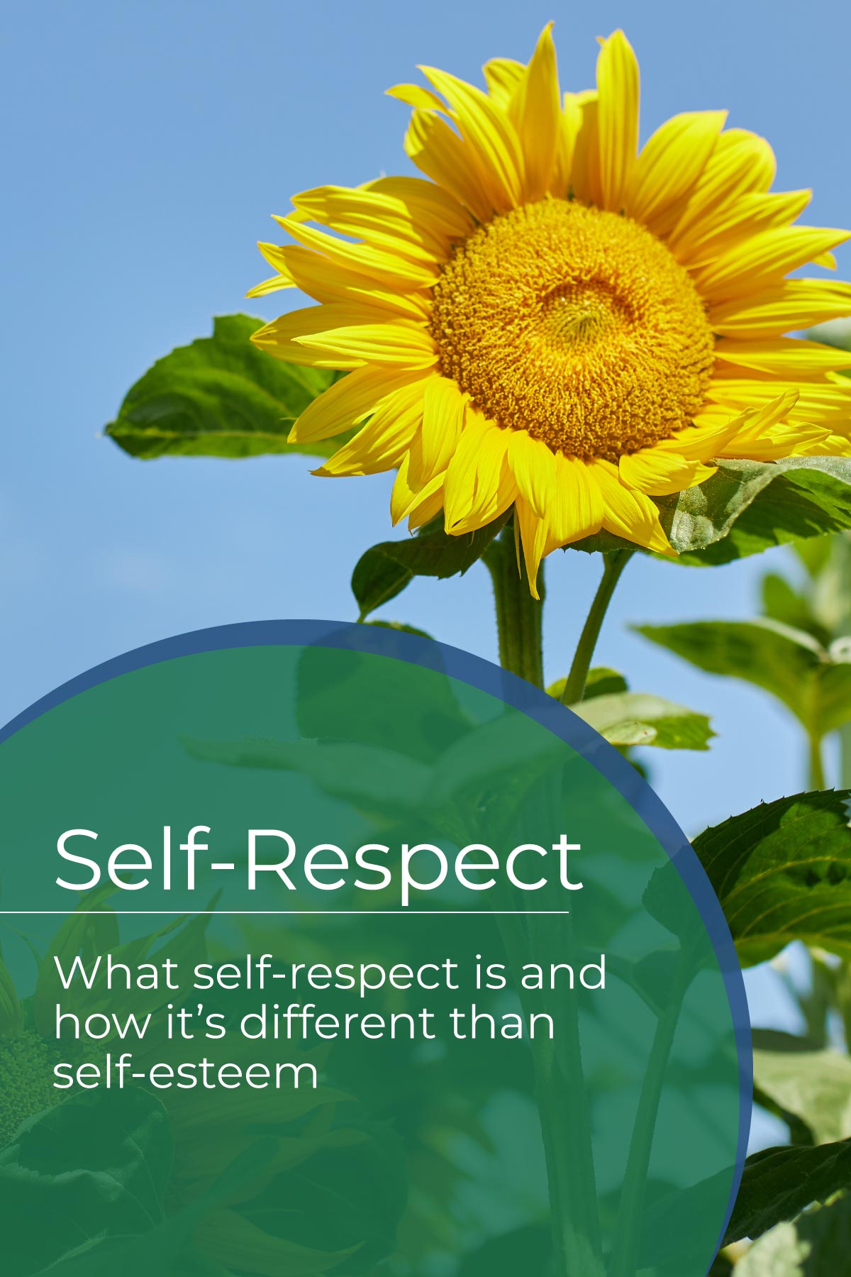 What is self-respect? A definition